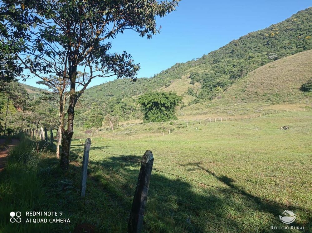 Sítio à venda com 1 quarto, 121000m² - Foto 5