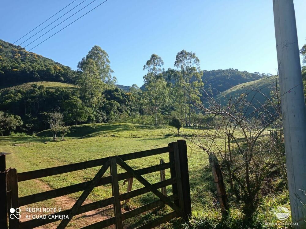Sítio à venda com 1 quarto, 121000m² - Foto 7