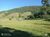 Sítio, 1 quarto, 12 hectares - Foto 3