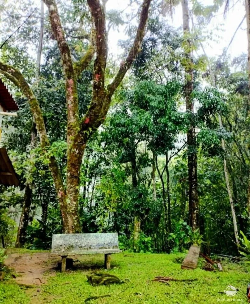 Chácara, 2 hectares - Foto 4