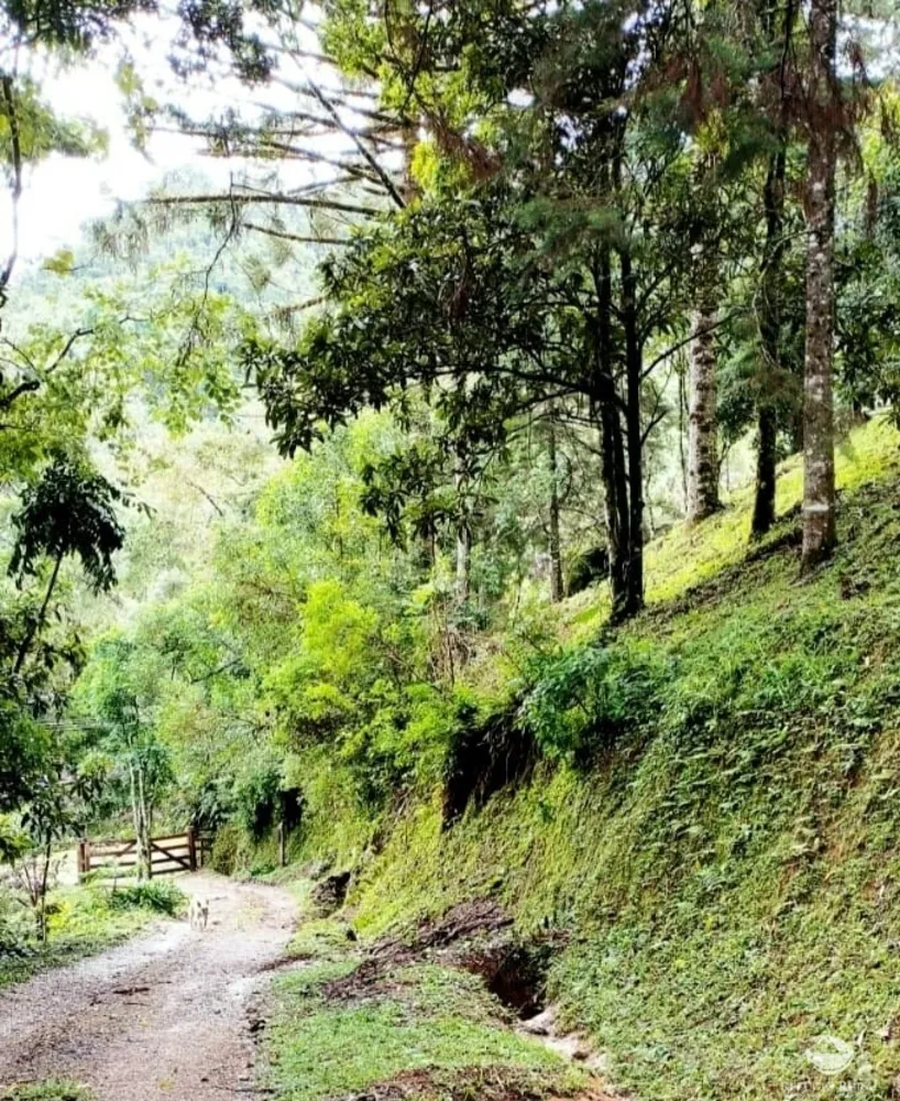 Chácara, 2 hectares - Foto 15