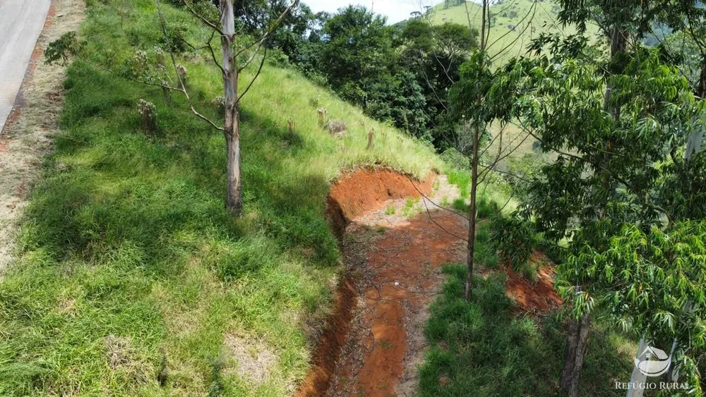 Terreno, 2 hectares - Foto 3