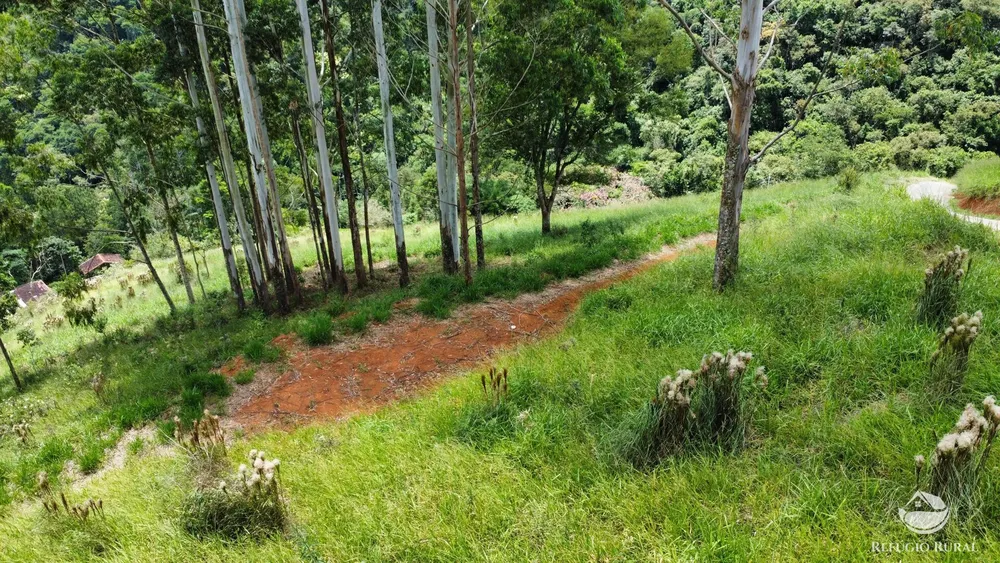 Terreno, 2 hectares - Foto 4
