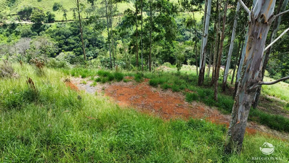 Terreno, 2 hectares - Foto 10