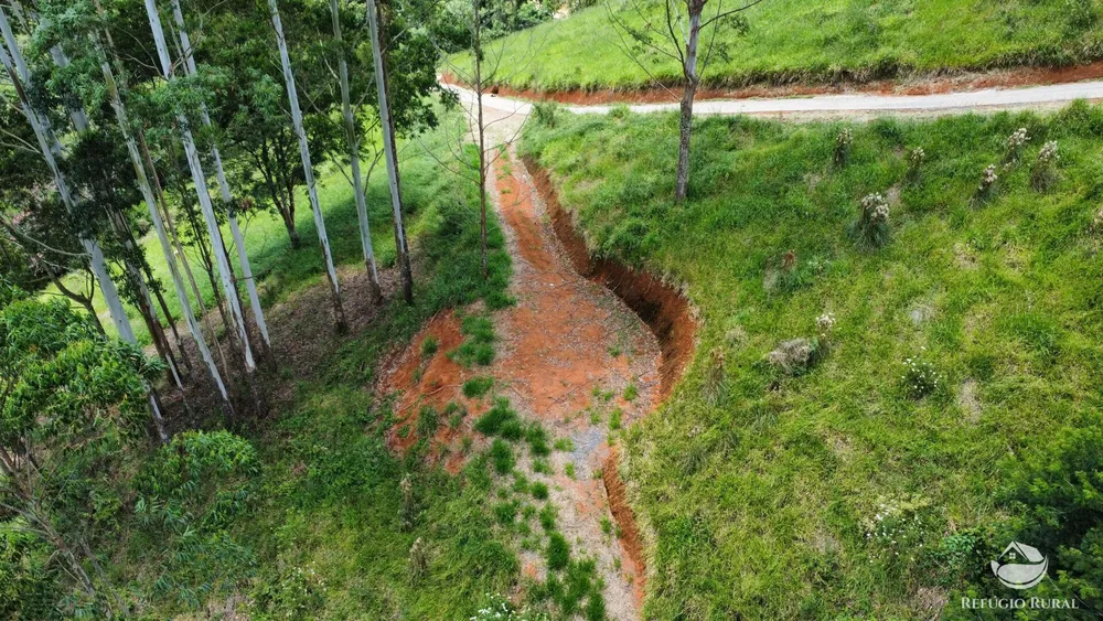Terreno, 2 hectares - Foto 6