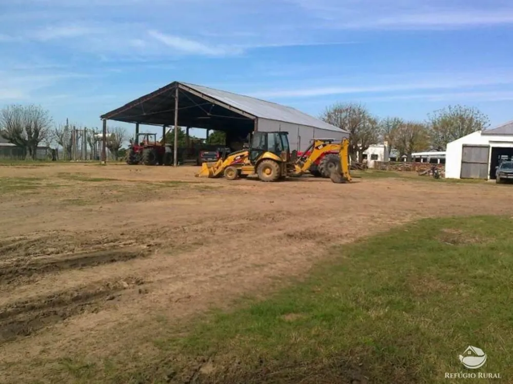 Fazenda, 7452 hectares - Foto 4