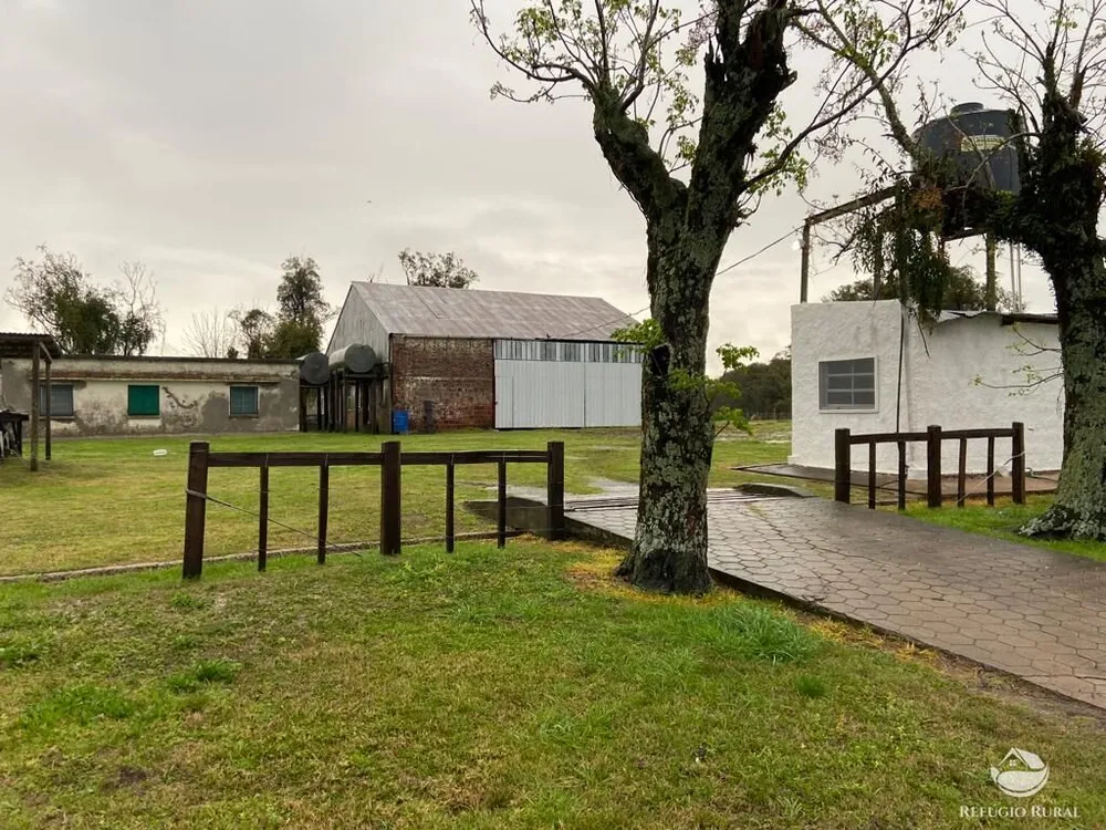 Fazenda, 7452 hectares - Foto 4