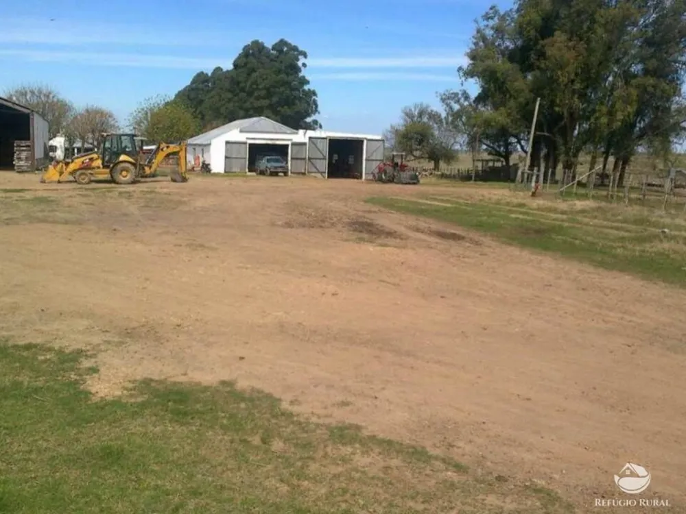 Fazenda, 7452 hectares - Foto 6