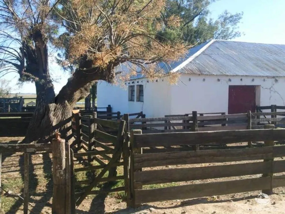 Fazenda, 7452 hectares - Foto 10