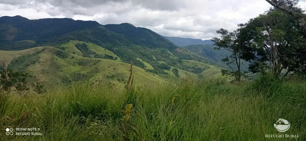 Terreno, 2 hectares - Foto 11