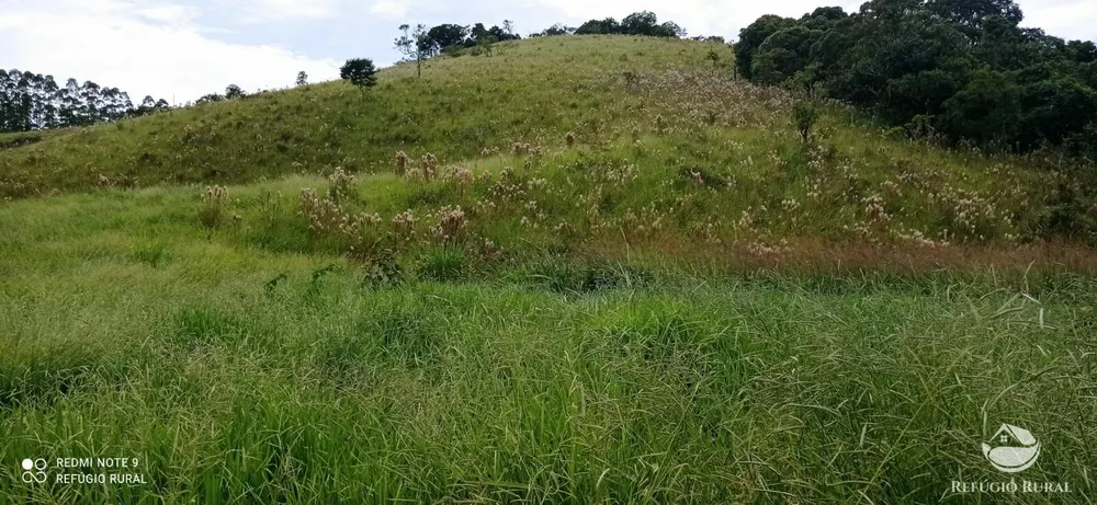 Terreno, 2 hectares - Foto 9