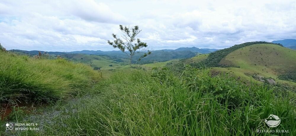 Terreno à venda, 20000m² - Foto 3