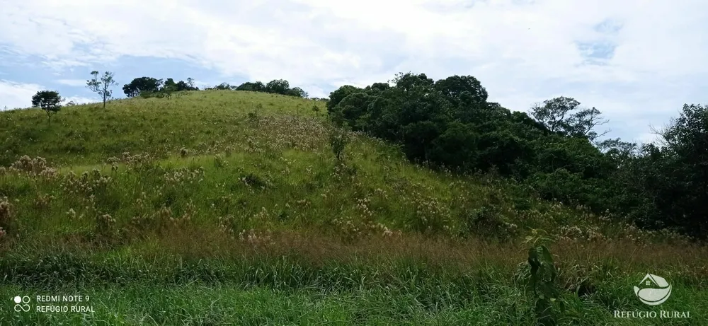 Terreno, 2 hectares - Foto 15