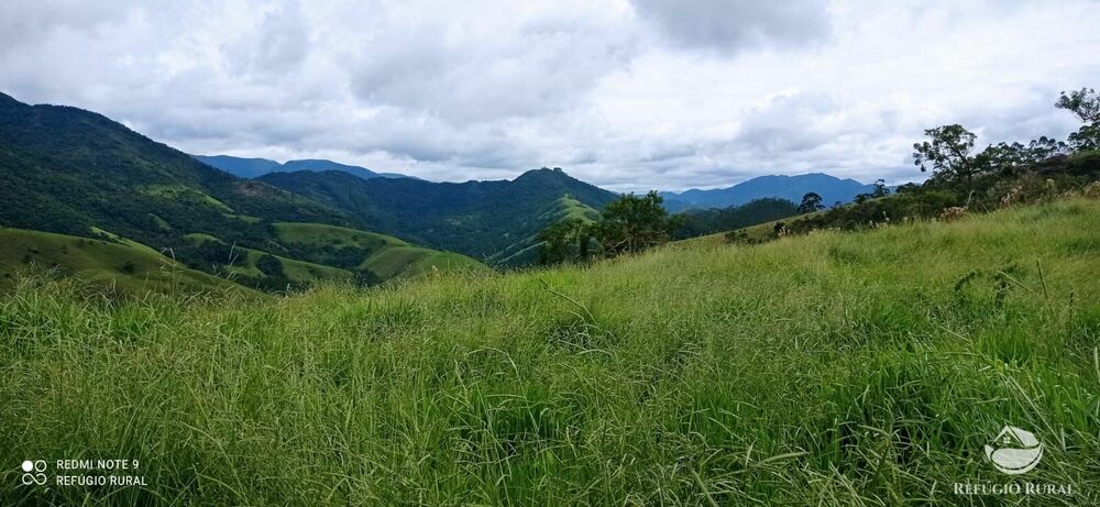 Terreno à venda, 20000m² - Foto 4