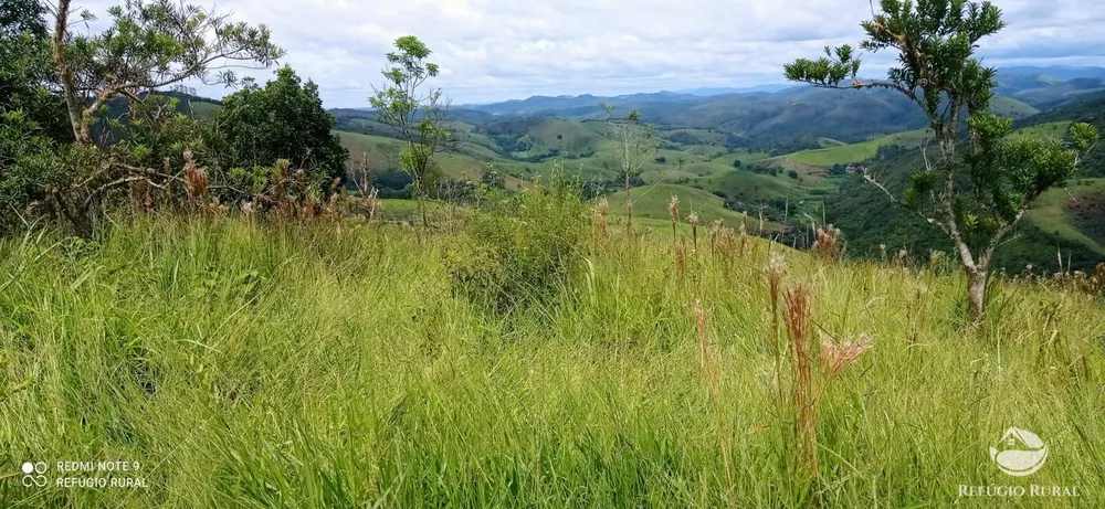 Terreno, 2 hectares - Foto 12