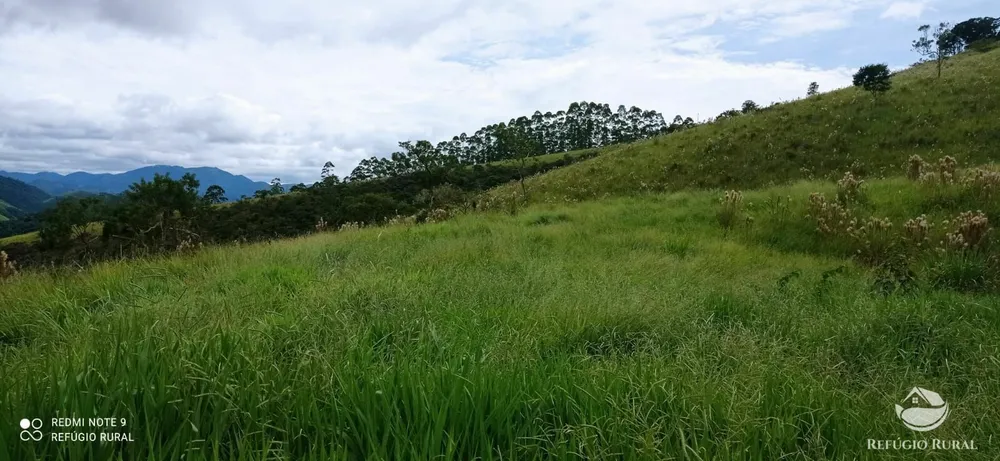 Terreno, 2 hectares - Foto 3