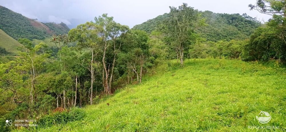 Sítio à venda com 1 quarto, 145200m² - Foto 1