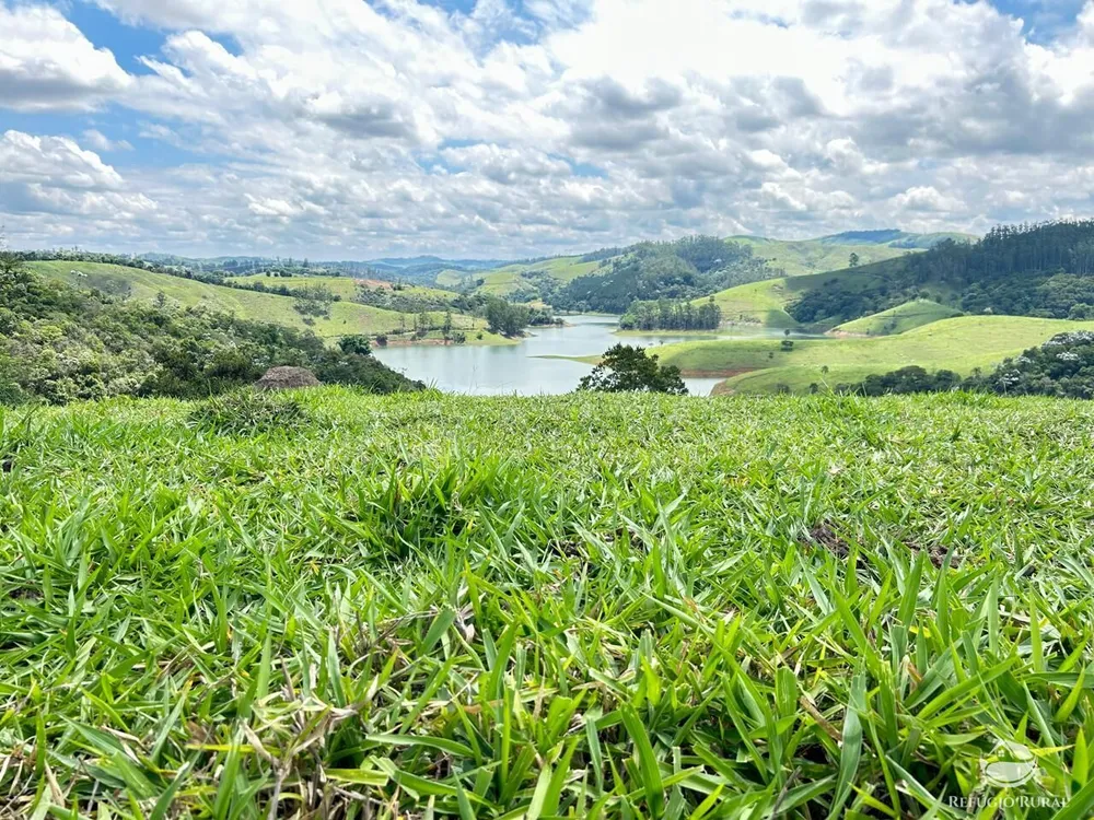 Chácara, 24 hectares - Foto 12
