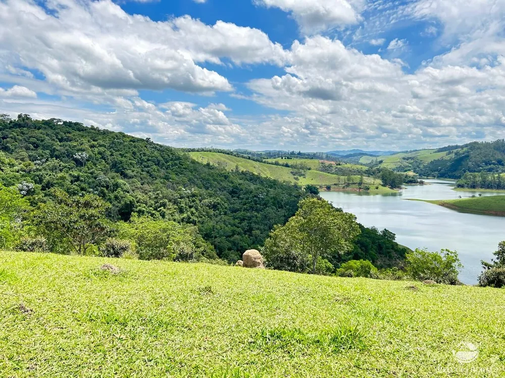 Chácara, 24 hectares - Foto 10