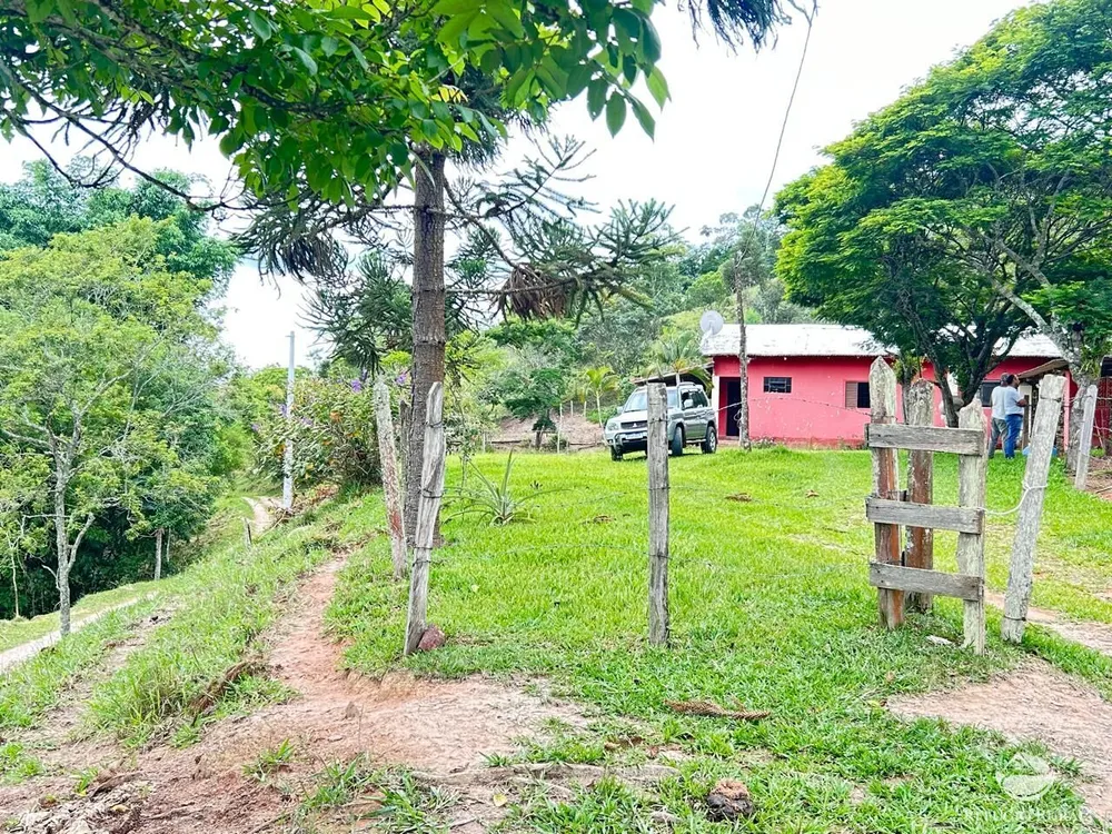 Chácara, 24 hectares - Foto 3