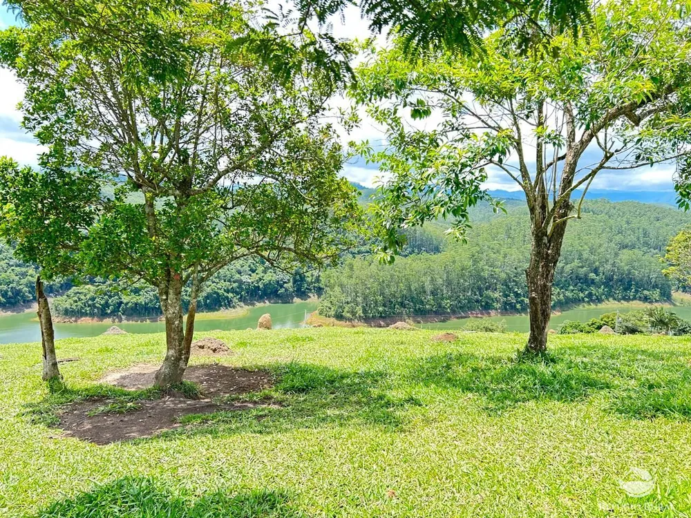 Chácara, 24 hectares - Foto 11