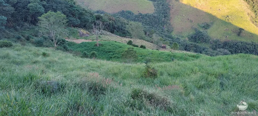 Terreno, 3 hectares - Foto 12