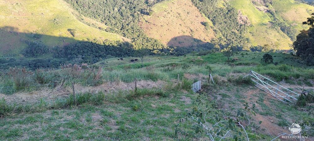 Terreno, 3 hectares - Foto 5