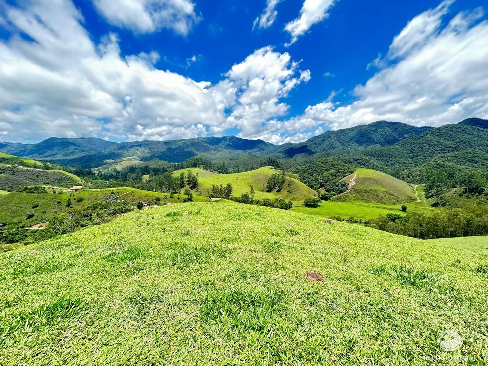 Terreno, 2 hectares - Foto 7
