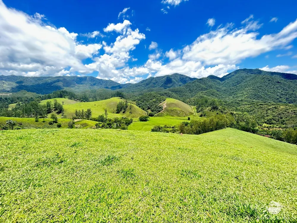 Terreno, 2 hectares - Foto 8