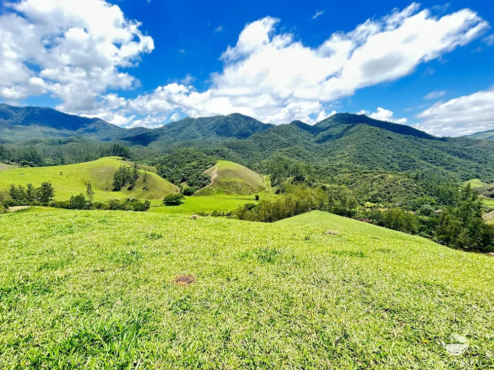 Terreno, 2 hectares - Foto 4