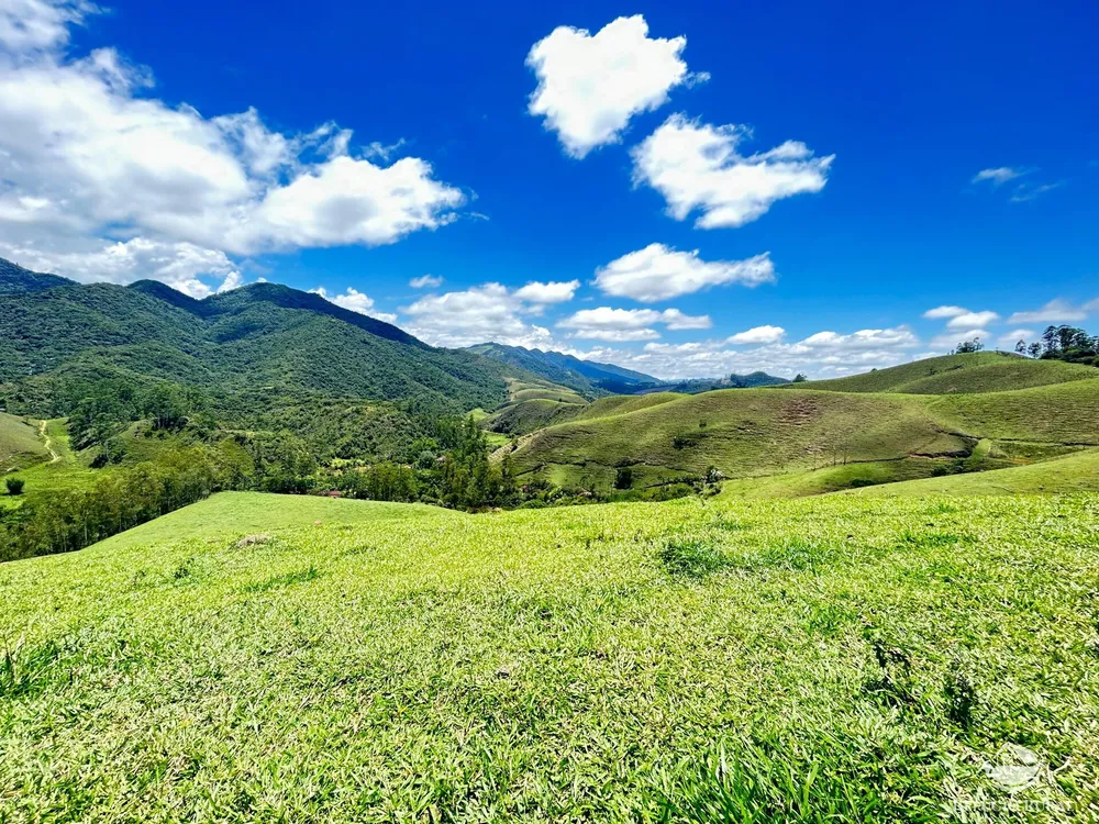 Terreno, 2 hectares - Foto 3