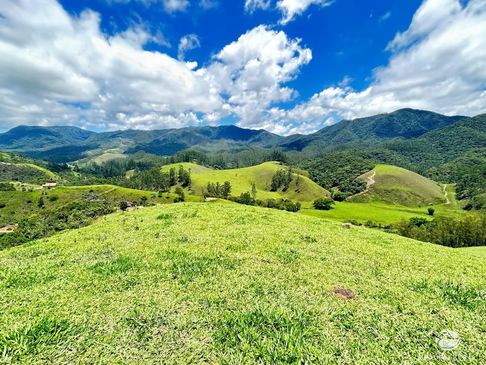 Terreno, 2 hectares - Foto 6