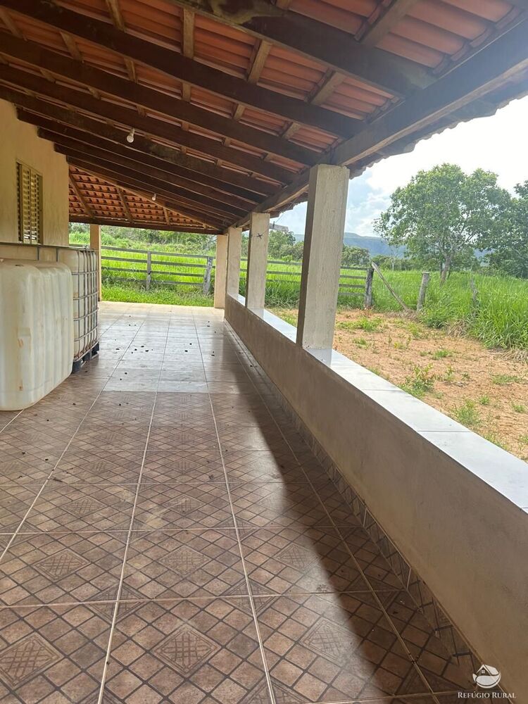Fazenda, 67 hectares - Foto 14