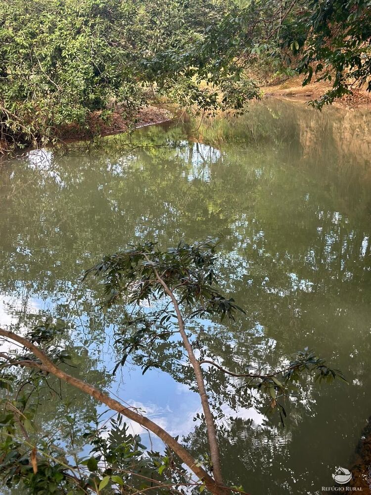 Fazenda, 67 hectares - Foto 18