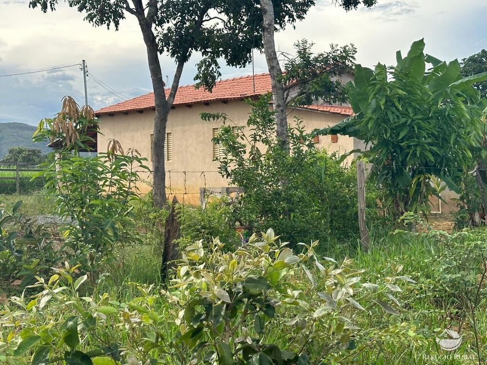 Fazenda, 67 hectares - Foto 25