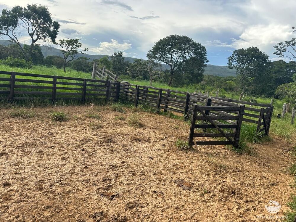 Fazenda, 67 hectares - Foto 6