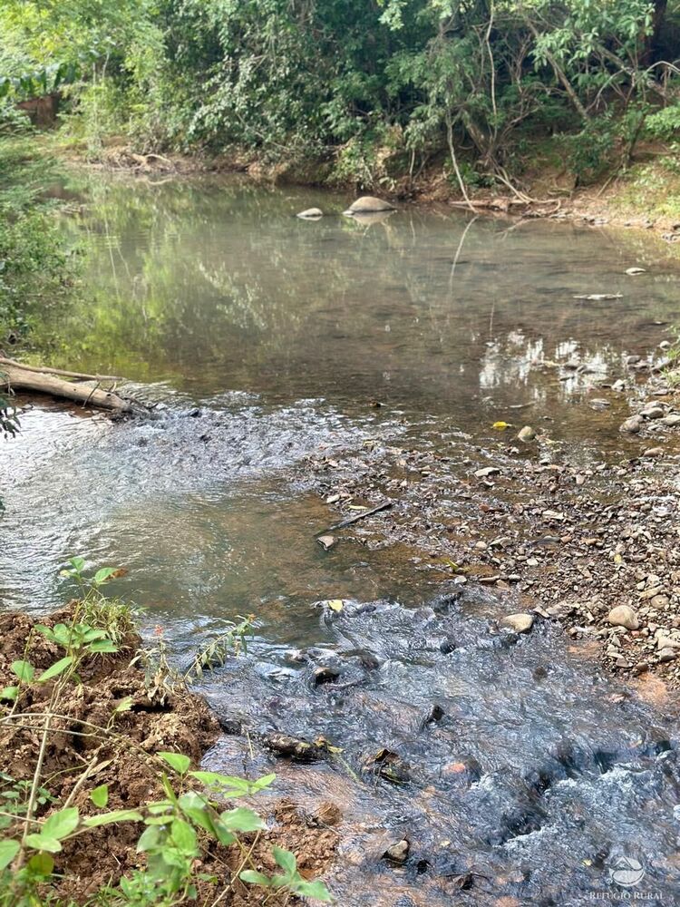 Fazenda, 67 hectares - Foto 16