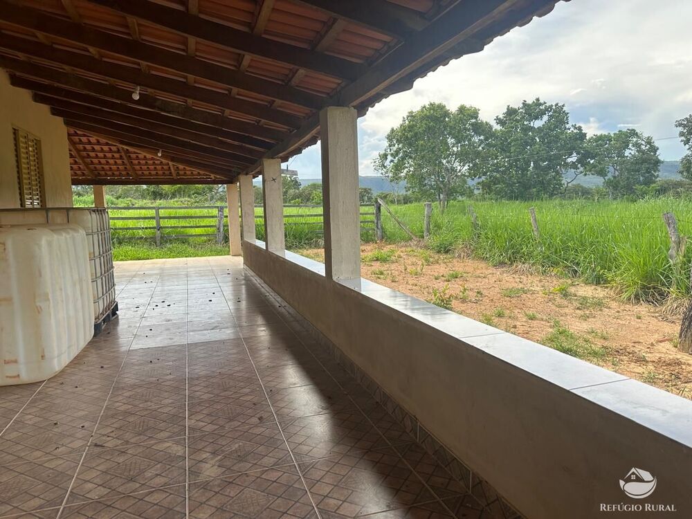 Fazenda, 67 hectares - Foto 15