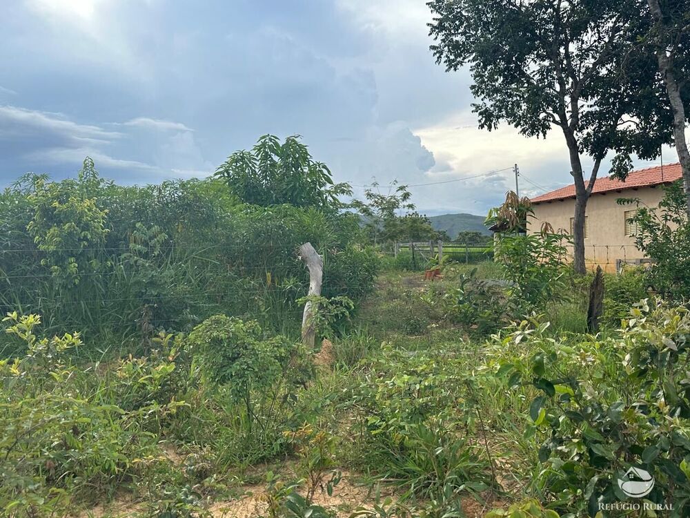 Fazenda, 67 hectares - Foto 28