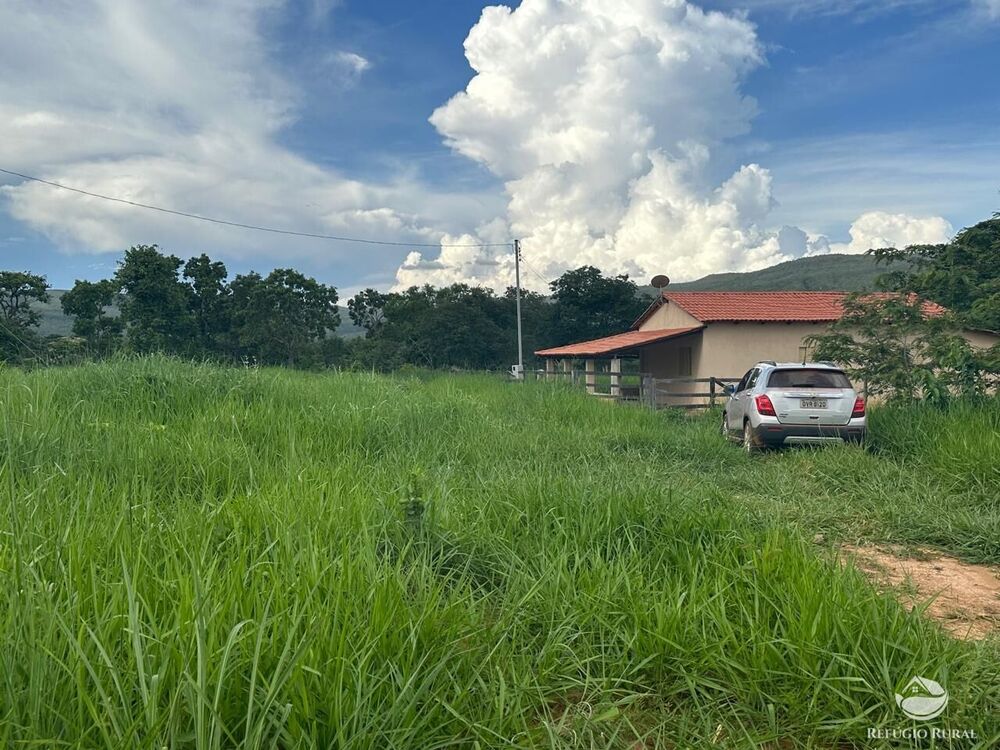 Fazenda, 67 hectares - Foto 29