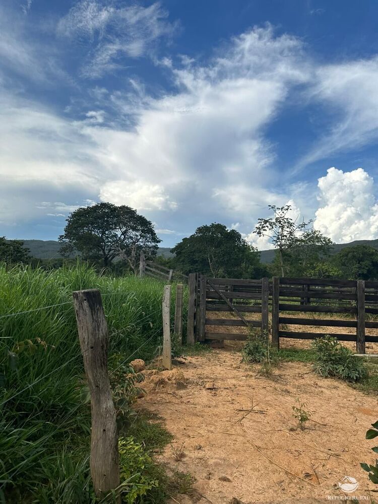 Fazenda, 67 hectares - Foto 12