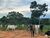 Fazenda-Sítio-Chácara, 67 hectares - Foto 3