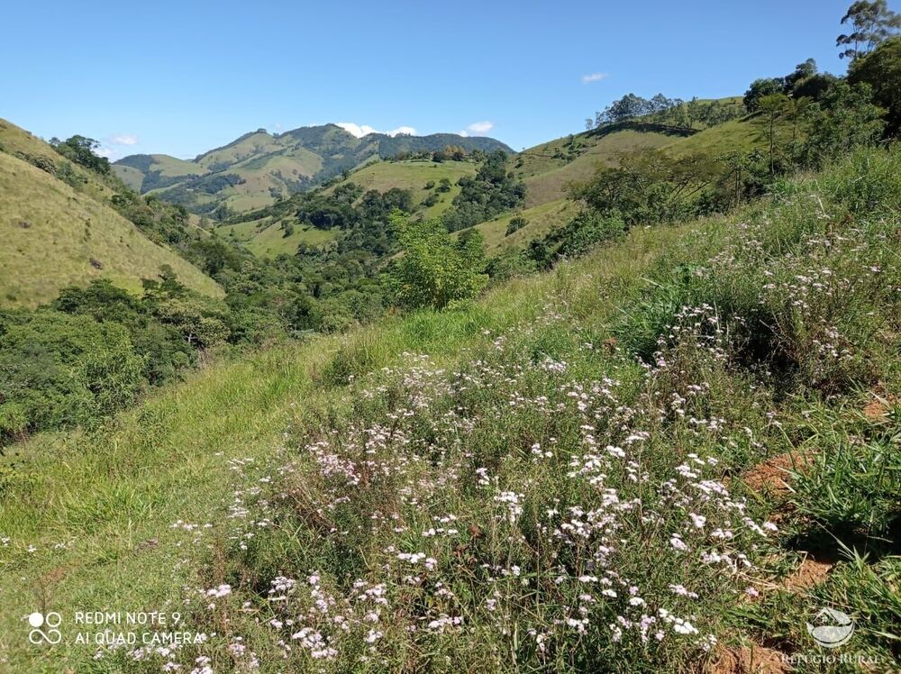 Sítio à venda com 1 quarto, 117370000m² - Foto 7