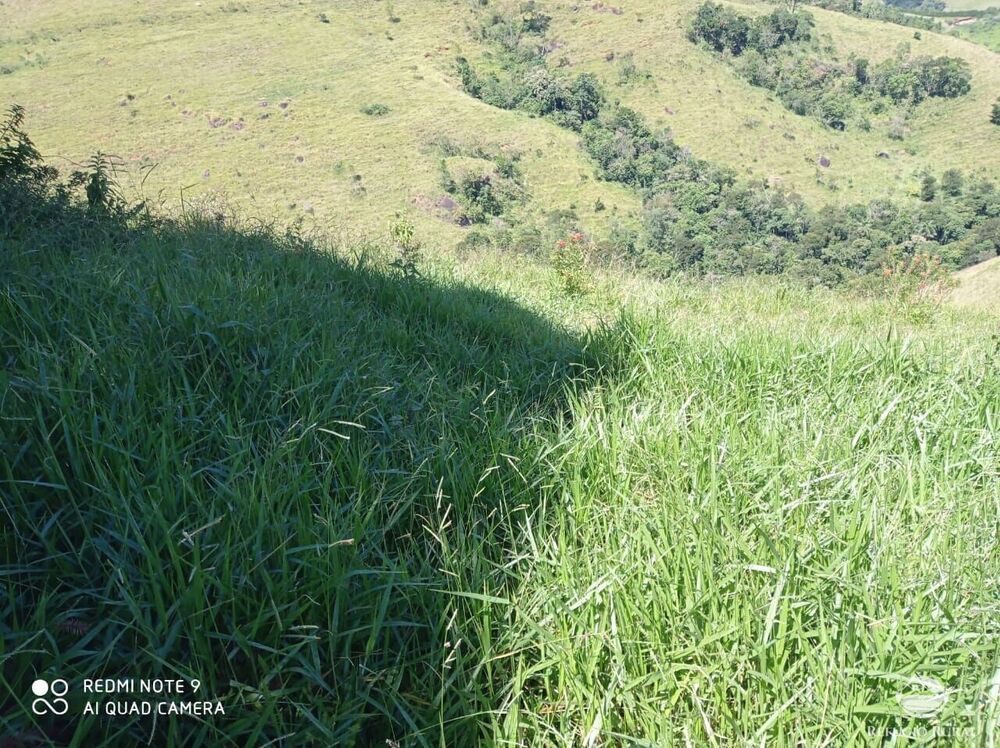 Sítio à venda com 1 quarto, 117370000m² - Foto 2