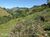 Sítio, 1 quarto, 11737 hectares - Foto 7