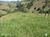 Sítio, 1 quarto, 11737 hectares - Foto 11