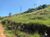 Sítio, 1 quarto, 11737 hectares - Foto 4