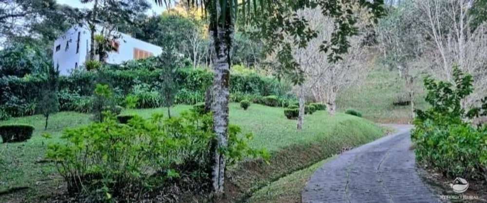 Sítio, 2 hectares - Foto 3