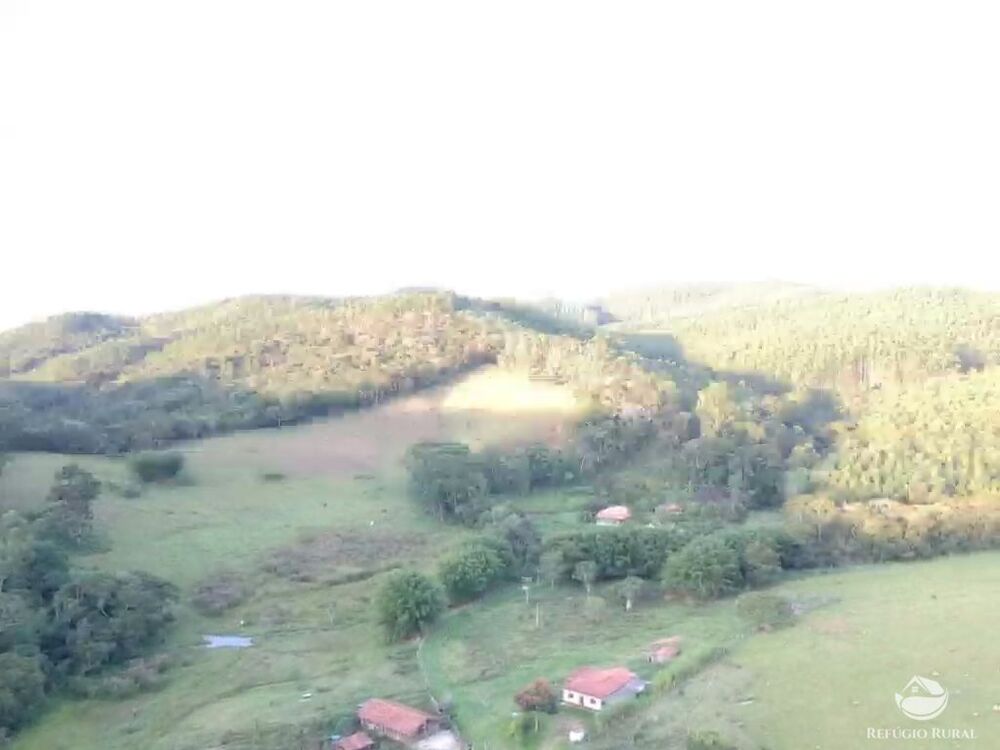 Sítio, 51 hectares - Foto 2