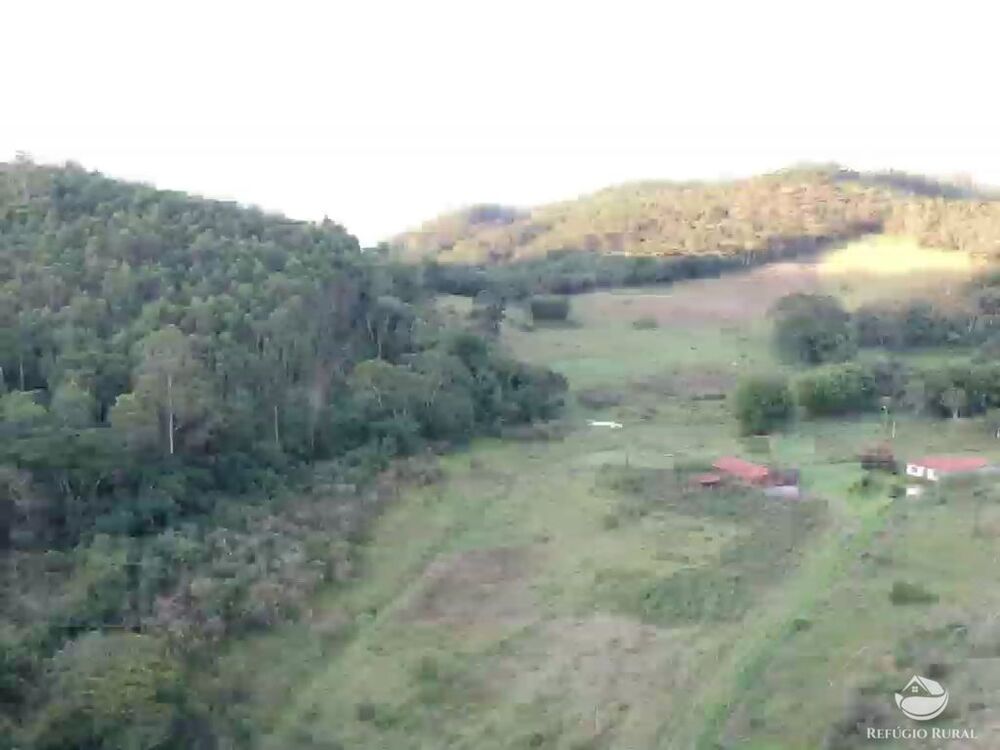 Sítio, 51 hectares - Foto 3